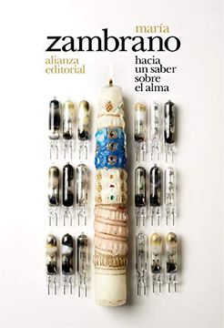 portada Hacia un Saber Sobre el Alma (in Spanish)