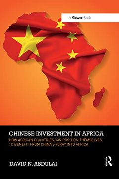portada Chinese Investment in Africa 