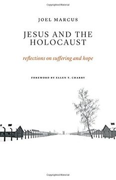 portada Jesus and the Holocaust: Reflections on Suffering and Hope (en Inglés)
