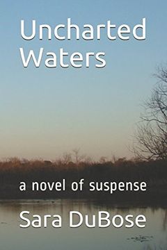 portada Uncharted Waters: A Novel of Suspense (in English)