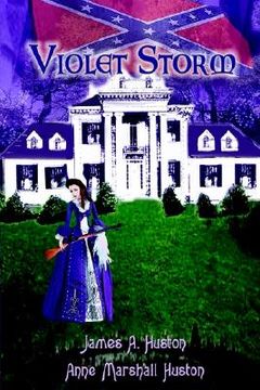 portada violet storm: a novel of south carolina during reconstruction (en Inglés)