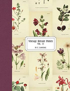 portada Vintage Botany Prints: Vol. 11 (in English)