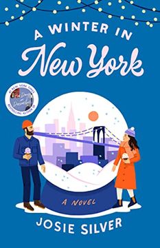 portada A Winter in new York: A Novel (en Inglés)