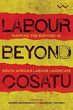 portada Labour Beyond Cosatu: Mapping the Rupture in South Africa's Labour Landscape (en Inglés)