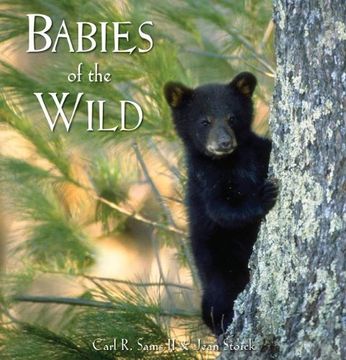 portada Babies of the Wild (en Inglés)