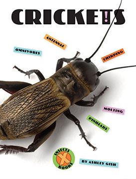 portada Crickets (X-Books: Insects) (en Inglés)
