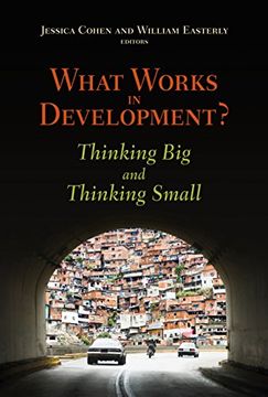portada What Works in Development? Thinking big and Thinking Small 
