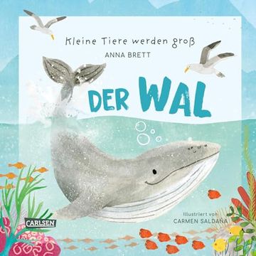 portada Kleine Tiere Werden Gro? - der wal (in German)