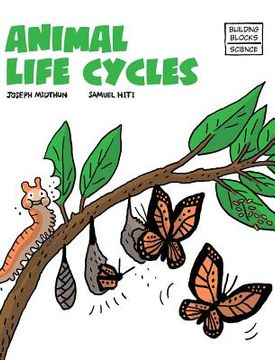 portada Animal Life Cycles (en Inglés)