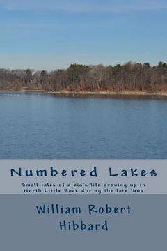 portada Numbered Lakes: Small tales of a kid's life growing up in North Little Rock during the late '60s (en Inglés)