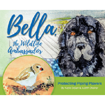 portada Bella, the Wildlife Ambassador: Protecting Piping Plovers 