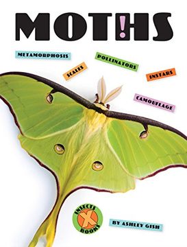 portada Moths (en Inglés)