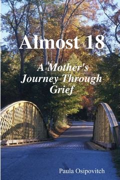 portada Almost 18 " A Mother's Journey Through Grief " (en Inglés)