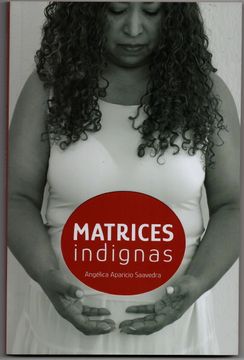portada Matrices indignas: Sobre la anticoncepción forzada contra mujeres racializadas en México. Un acercamiento histórico-filosófico.