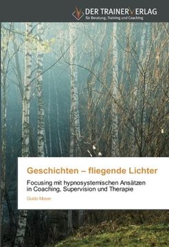 portada Geschichten - fliegende Lichter: Focusing mit hypnosystemischen Ansätzen in Coaching, Supervision und Therapie