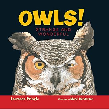 portada Owls! Strange and Wonderful (in English)