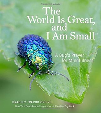 portada The World Is Great, and I Am Small: A Bug's Prayer for Mindfulness