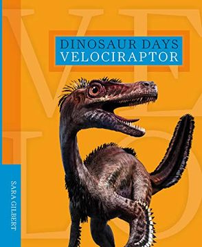 portada Velociraptor (Dinosaur Days) (in English)