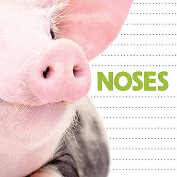 portada Noses (Question and Animal) (in English)