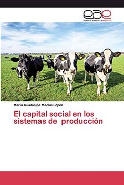 portada El Capital Social en los Sistemas de Producción