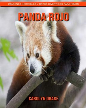 portada Panda Rojo: Imágenes Increíbles y Datos Divertidos Para Niños