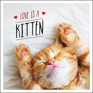 portada Love Is a Kitten: A Cat-Tastic Celebration of the World's Cutest Kittens (en Inglés)
