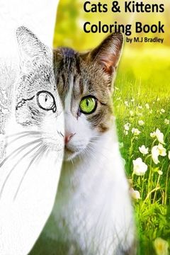portada Cats & Kittens: Coloring Book