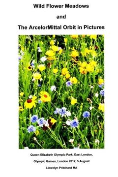 portada Wild Flower Meadows and The ArcelorMittal Orbit in Pictures (Album de Fotos) (Volume 18) (Spanish Edition)