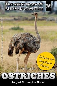 portada Ostriches: Largest Birds on the Planet (in English)
