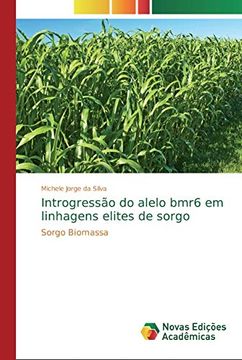 portada Introgressão do Alelo Bmr6 em Linhagens Elites de Sorgo: Sorgo Biomassa
