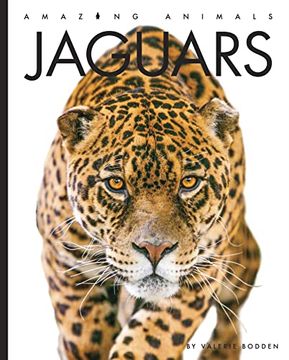 portada Jaguars (Amazing Animals) (in English)