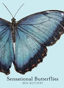 portada Sensational Butterflies (Rothery'S Animal Planet) 