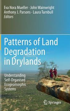 portada patterns of land degradation in drylands: understanding self-organised ecogeomorphic systems (en Inglés)