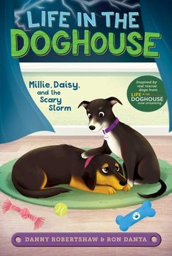 portada Millie, Daisy, and the Scary Storm (Life in the Doghouse) (in English)