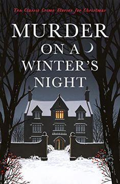 portada Murder on a Winter'S Night: Ten Classic Crime Stories: Ten Classic Crime Stories for Christmas (Vintage Murders) (in English)