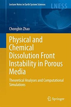 portada Physical and Chemical Dissolution Front Instability in Porous Media: Theoretical Analyses and Computational Simulations (Lecture Notes in Earth System Sciences)