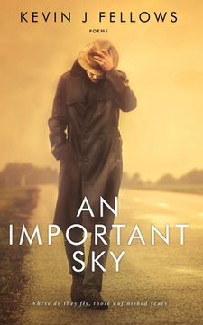 portada An Important Sky: Poems (en Inglés)