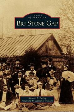 portada Big Stone Gap (en Inglés)