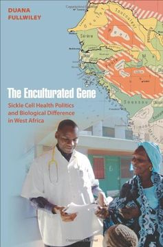 portada The Enculturated Gene: Sickle Cell Health Politics and Biological Difference in West Africa: Living Science and Disease in Modern Africa (en Inglés)