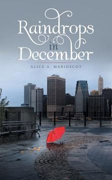 portada Raindrops in December (en Inglés)
