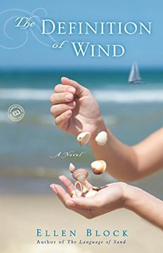 portada The Definition of Wind (in English)