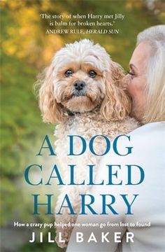 portada A dog Called Harry (en Inglés)