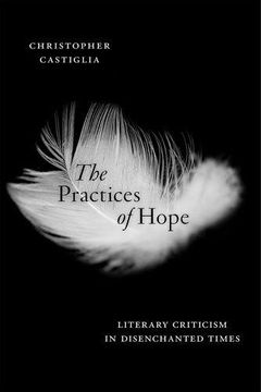 portada The Practices of Hope: Literary Criticism in Disenchanted Times (en Inglés)
