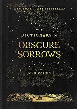 portada The Dictionary of Obscure Sorrows (en Inglés)