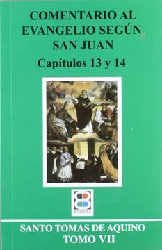 portada Comentario al evangelio según san Juan: Tomo VIII (CRITICA Y COMENTARIOS) (in Spanish)