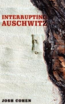 portada interrupting auschwitz (en Inglés)