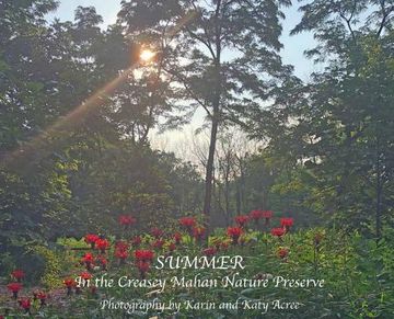 portada Summer in the Creasey Mahan Nature Preserve (en Inglés)