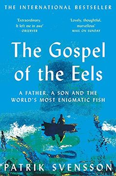 portada The Gospel of the Eels: A Father, a son and the World'S Most Enigmatic Fish (in English)