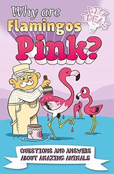 portada Why are Flamingos Pink? Questions and Answers About Amazing Animals (Big Ideas! ) (en Inglés)