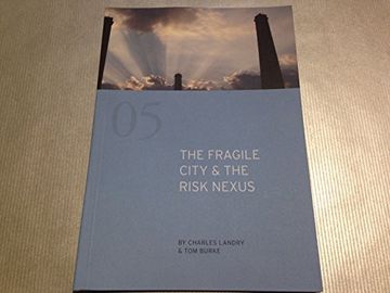 portada The Fragile City & the Risk Nexus (Comediashorts) (en Inglés)